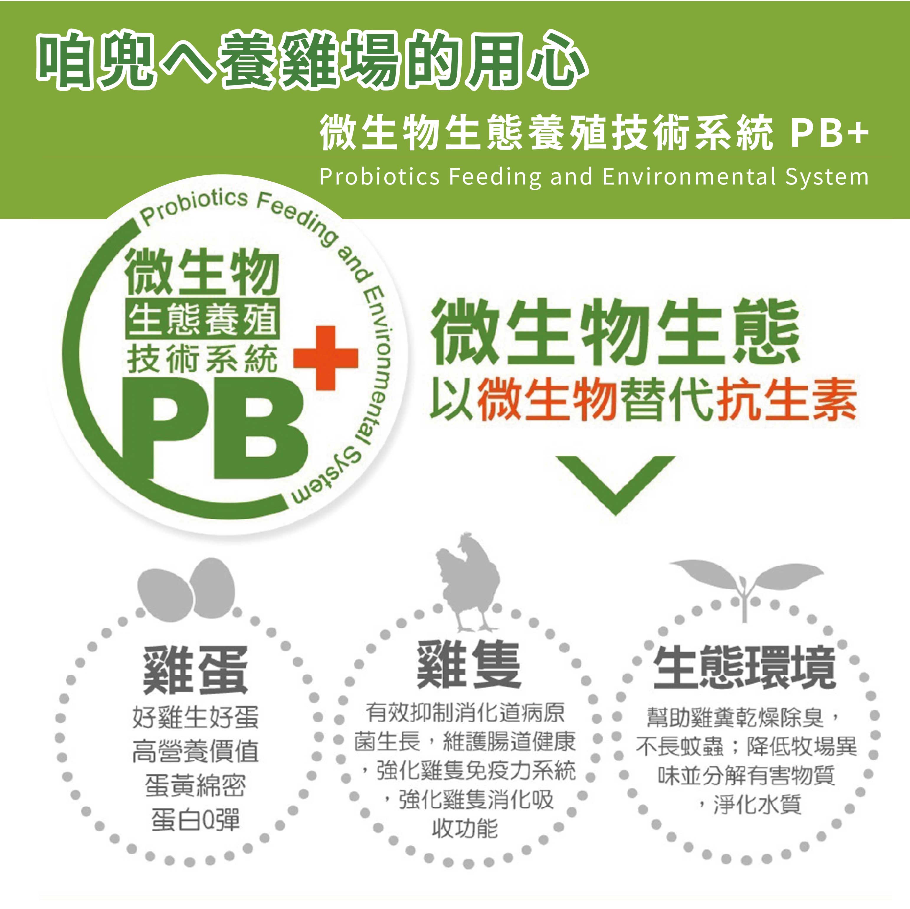 咱兜ㄟ養雞場 星潮DHA草本蛋/紅殼/40入宅配禮盒組(機能蛋專家/平飼/永續農業)