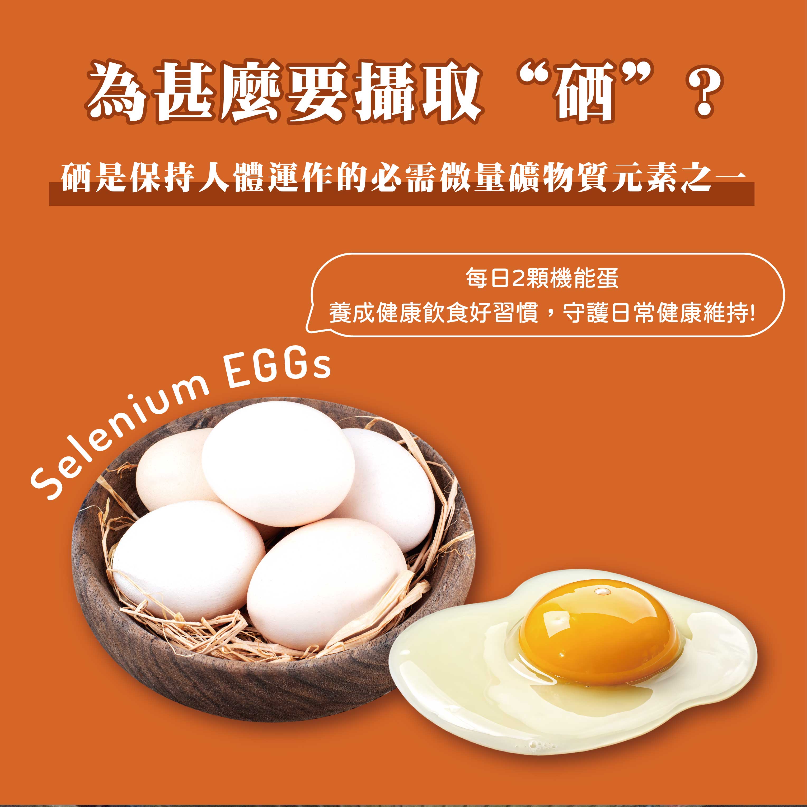 咱兜ㄟ養雞場 星潮有硒蛋/白殼/10入x10盒團購箱(添加專利益生菌 硒含量豐富/雞蛋/平飼)