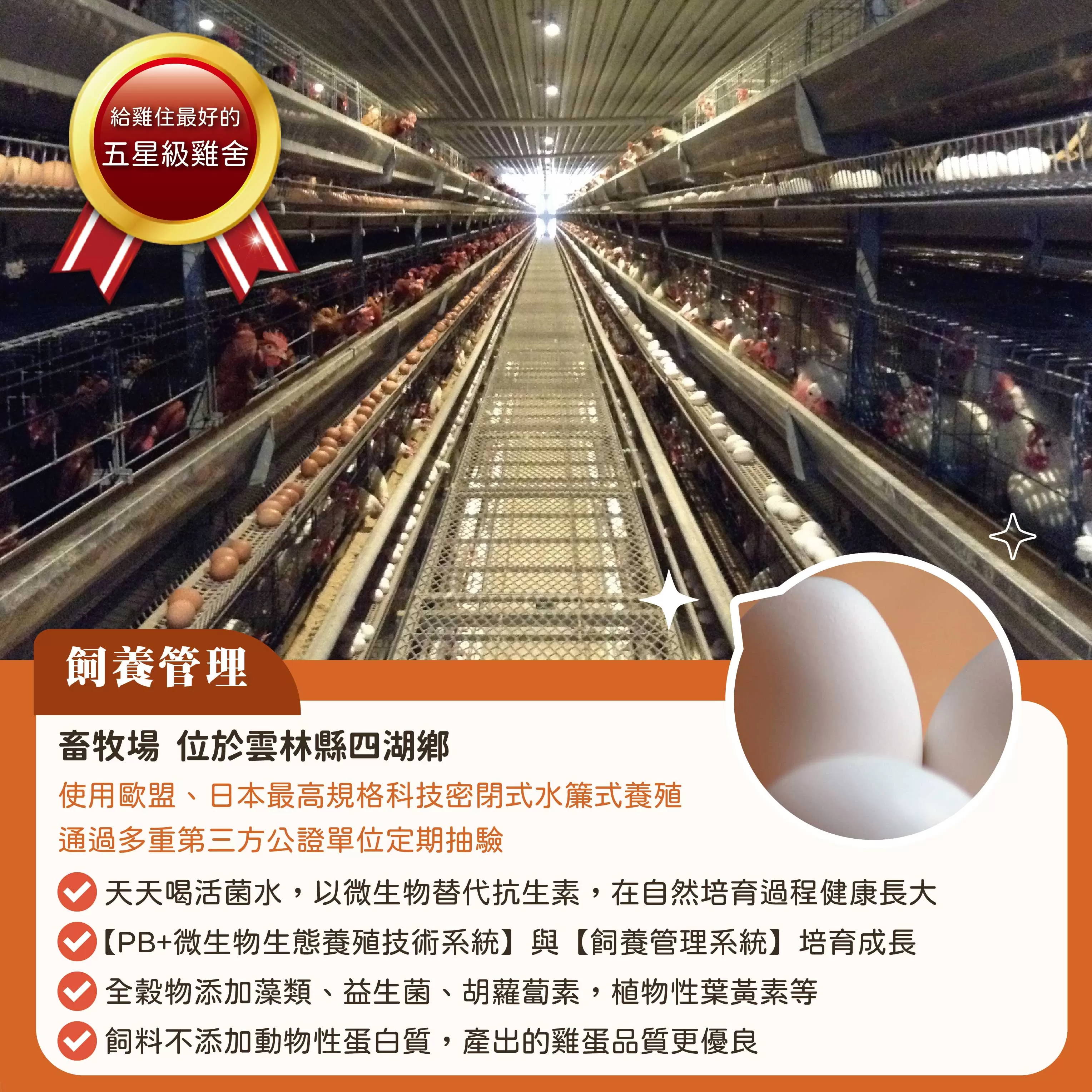 咱兜ㄟ養雞場 星潮有硒蛋/白殼/10入x4盒手提禮盒(添加專利益生菌 硒含量豐富/雞蛋/平飼)