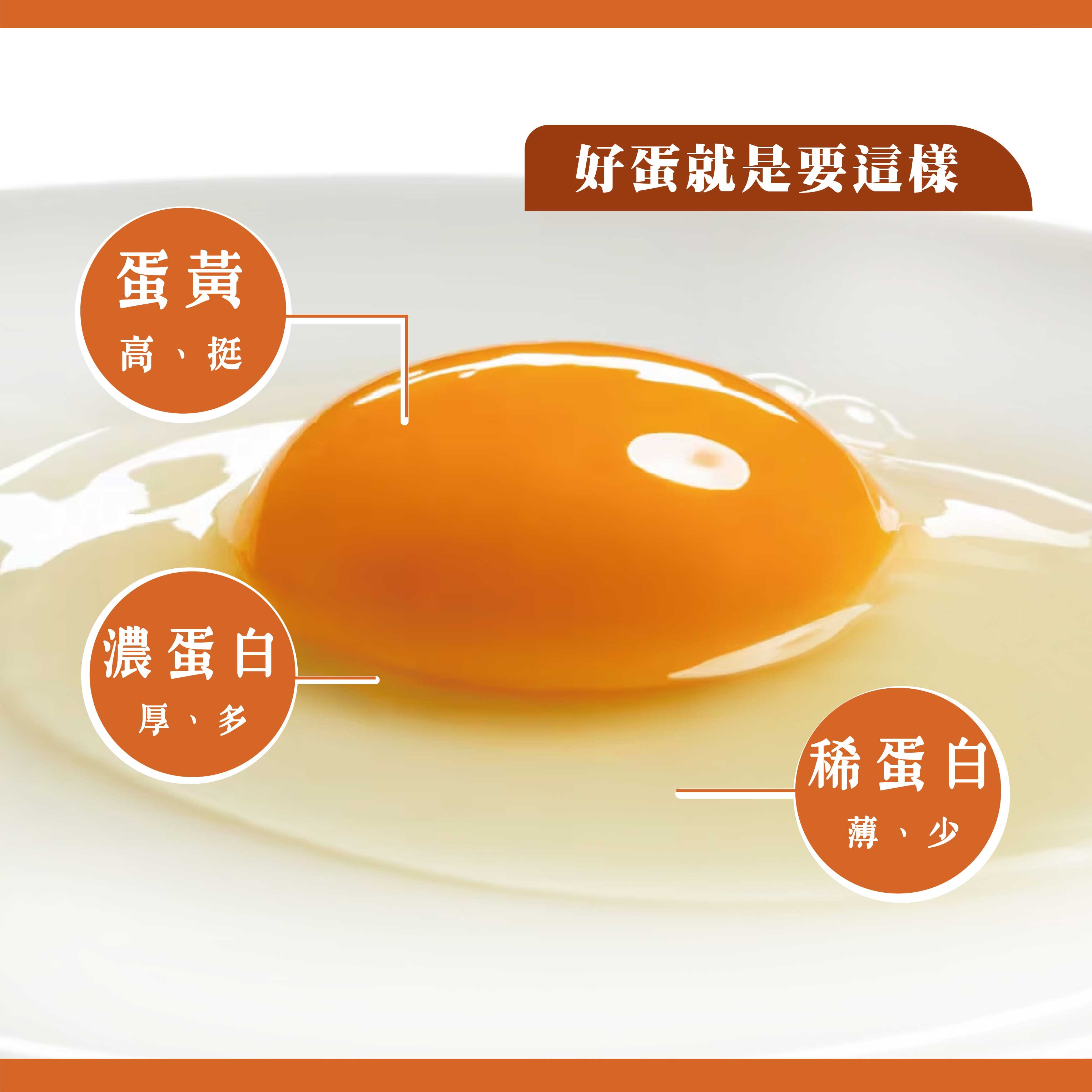 咱兜ㄟ養雞場 星潮有硒蛋/白殼/10入x4盒手提禮盒(添加專利益生菌 硒含量豐富/雞蛋/平飼)