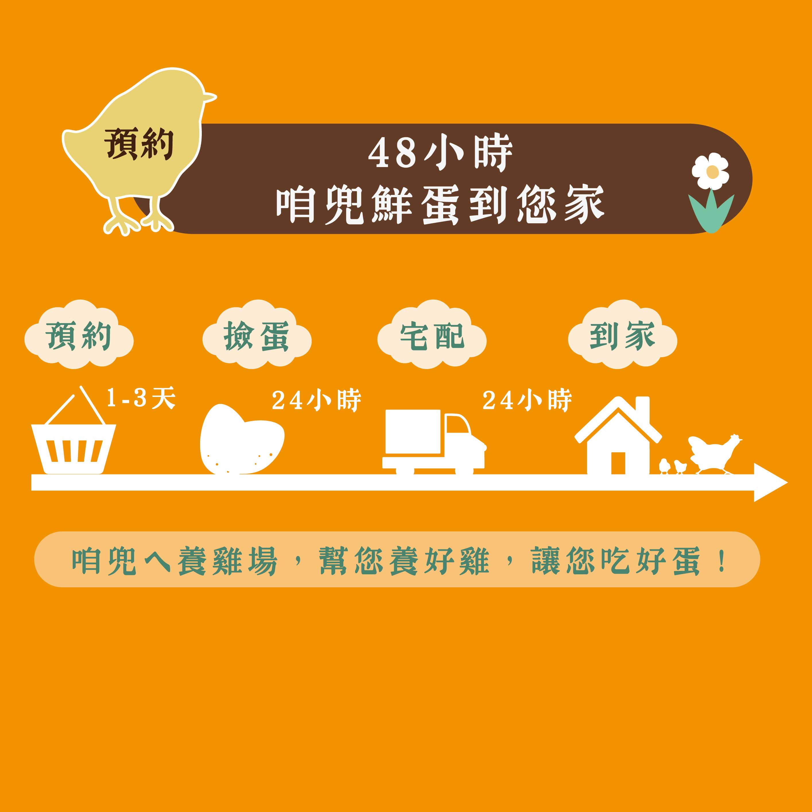 咱兜ㄟ養雞場 星潮金盞花機能蛋/紅殼/10入/x10盒團購箱(台灣首家專門銷售機能蛋專家)