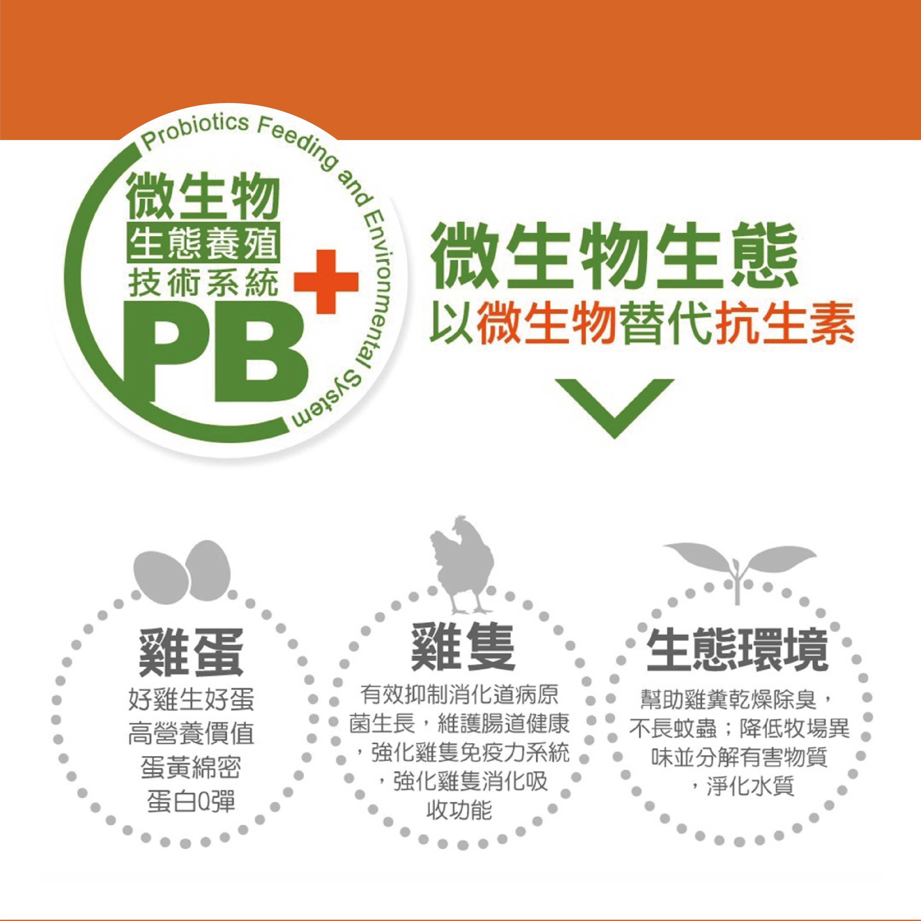 咱兜ㄟ養雞場 星潮有硒蛋/白殼/10入x10盒團購箱(添加專利益生菌 硒含量豐富/雞蛋/平飼)