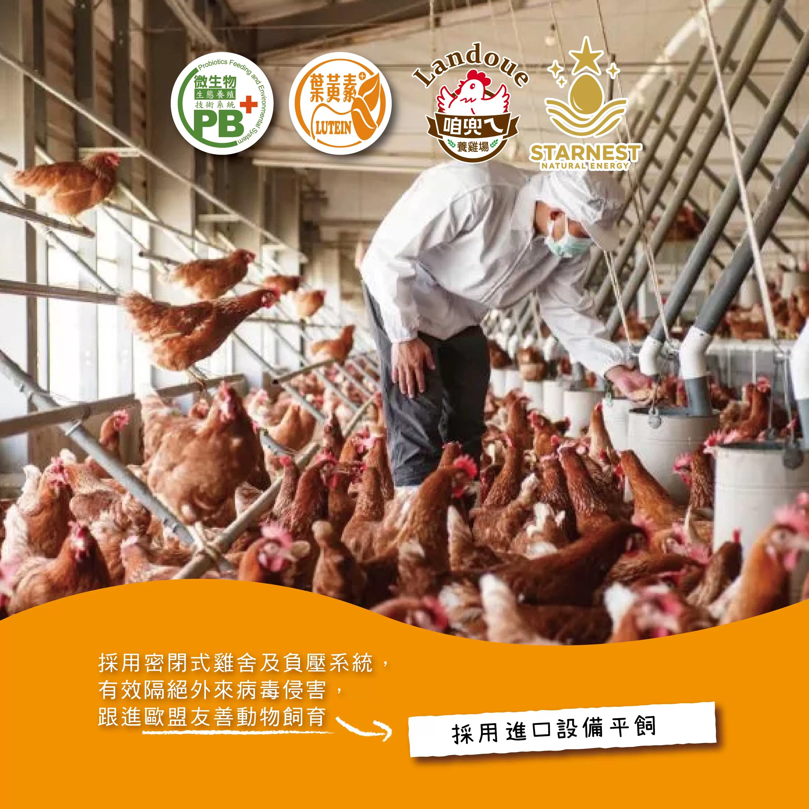 咱兜ㄟ養雞場 星潮金盞花機能但/紅殼/10入/x4盒手提禮盒(台灣首家專門銷售機能蛋專家)