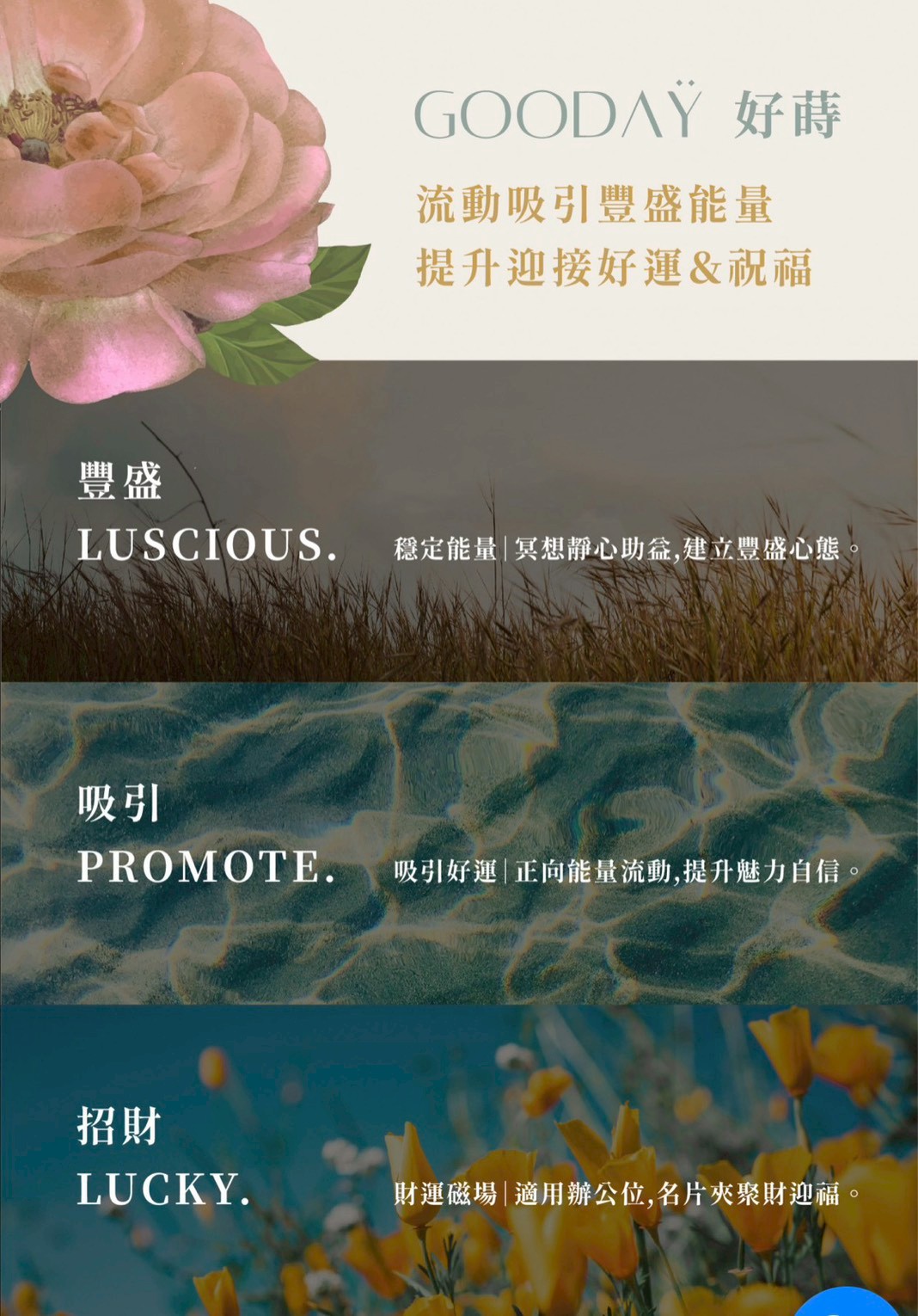淨化噴霧系列 - MONEY+ 蔓倪｜豐盛噴霧,淨化噴霧系列-空間財運淨化,U61240002,淨化噴霧系列-MONEY+蔓倪｜豐盛噴霧,淨化噴霧系列-空間財運淨化,吸引好運
