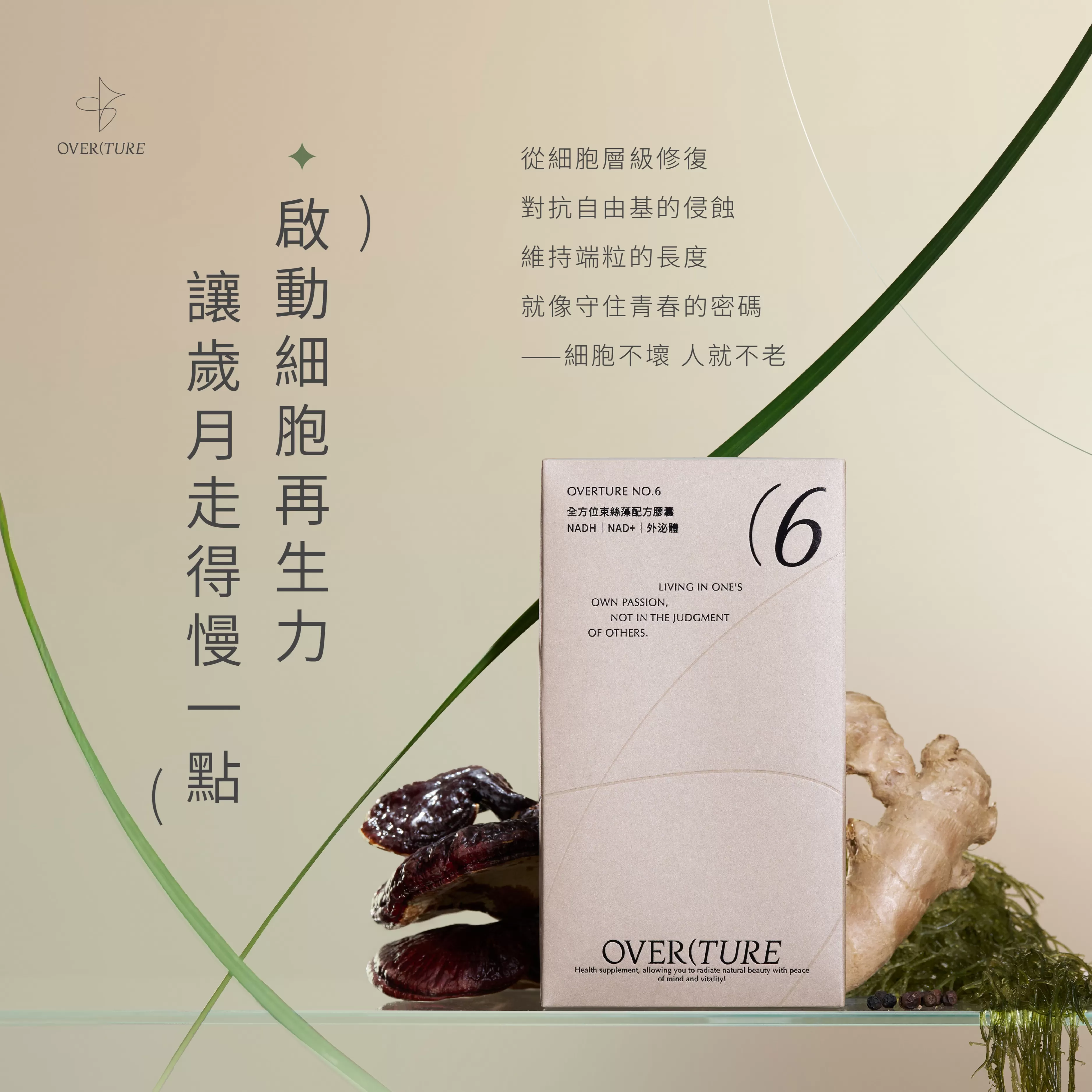 全方位束絲藻配方膠囊