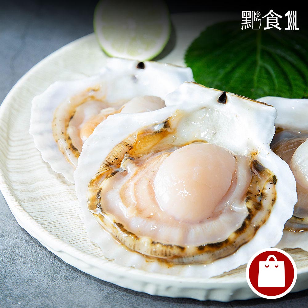 日本北海道帆立貝(10入)-(可團購)