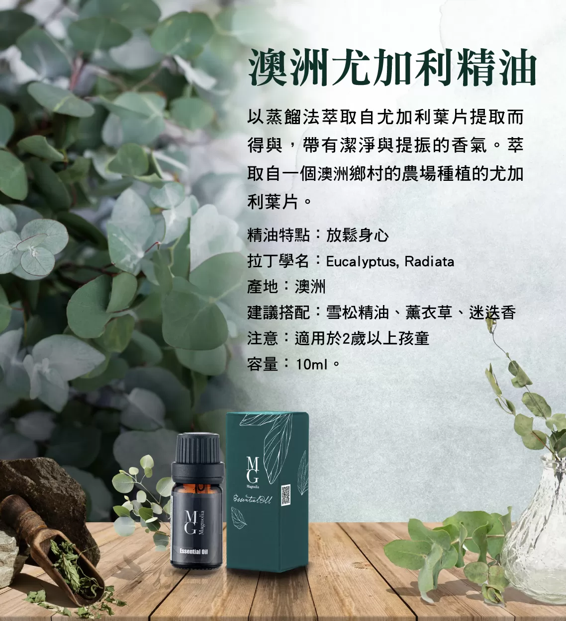 【MG】單方精油 - 澳洲尤加利精油