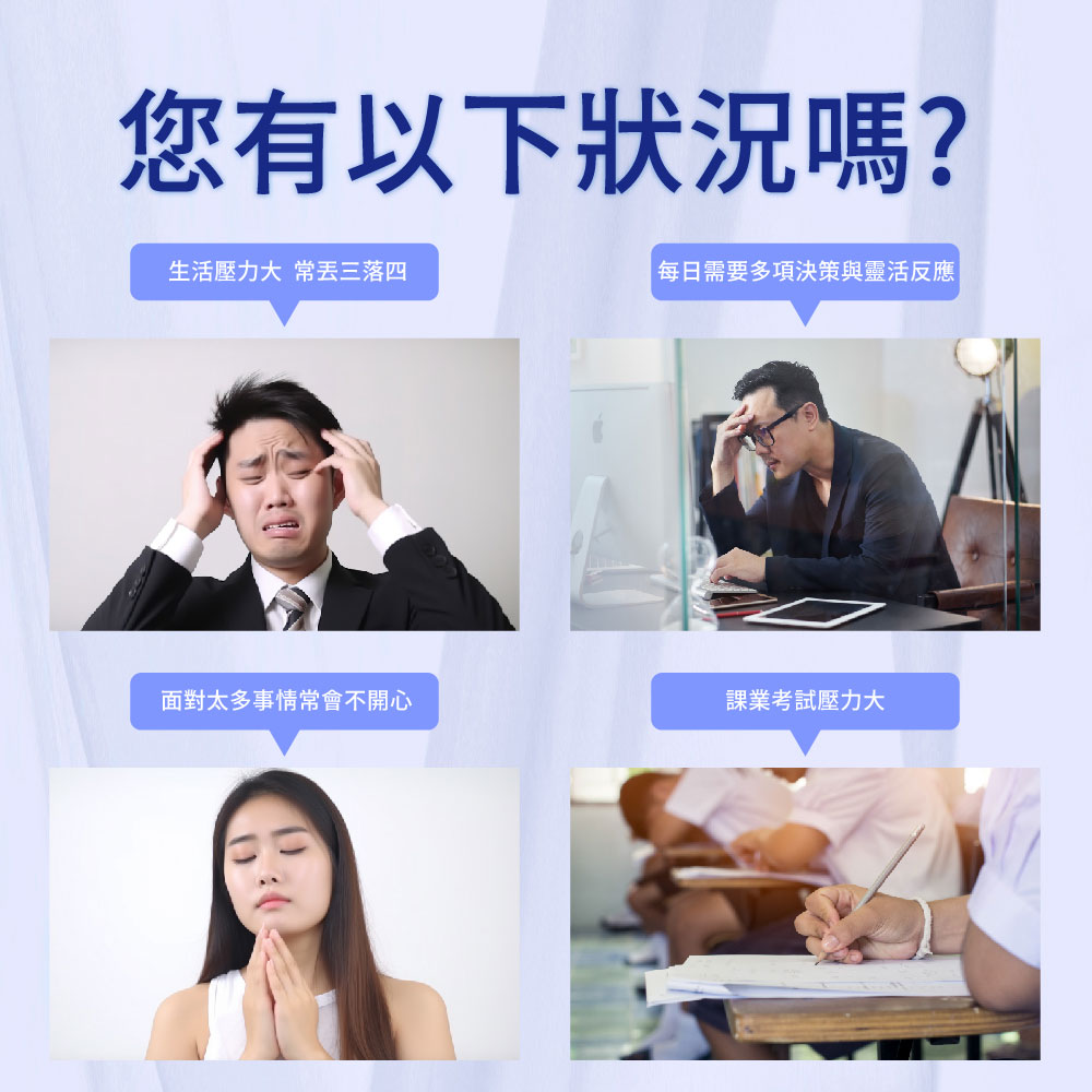 【SHINER】憶活萃 (30粒/盒),精神活力,記憶力提升,大腦保健,牛磺酸,銀杏萃取