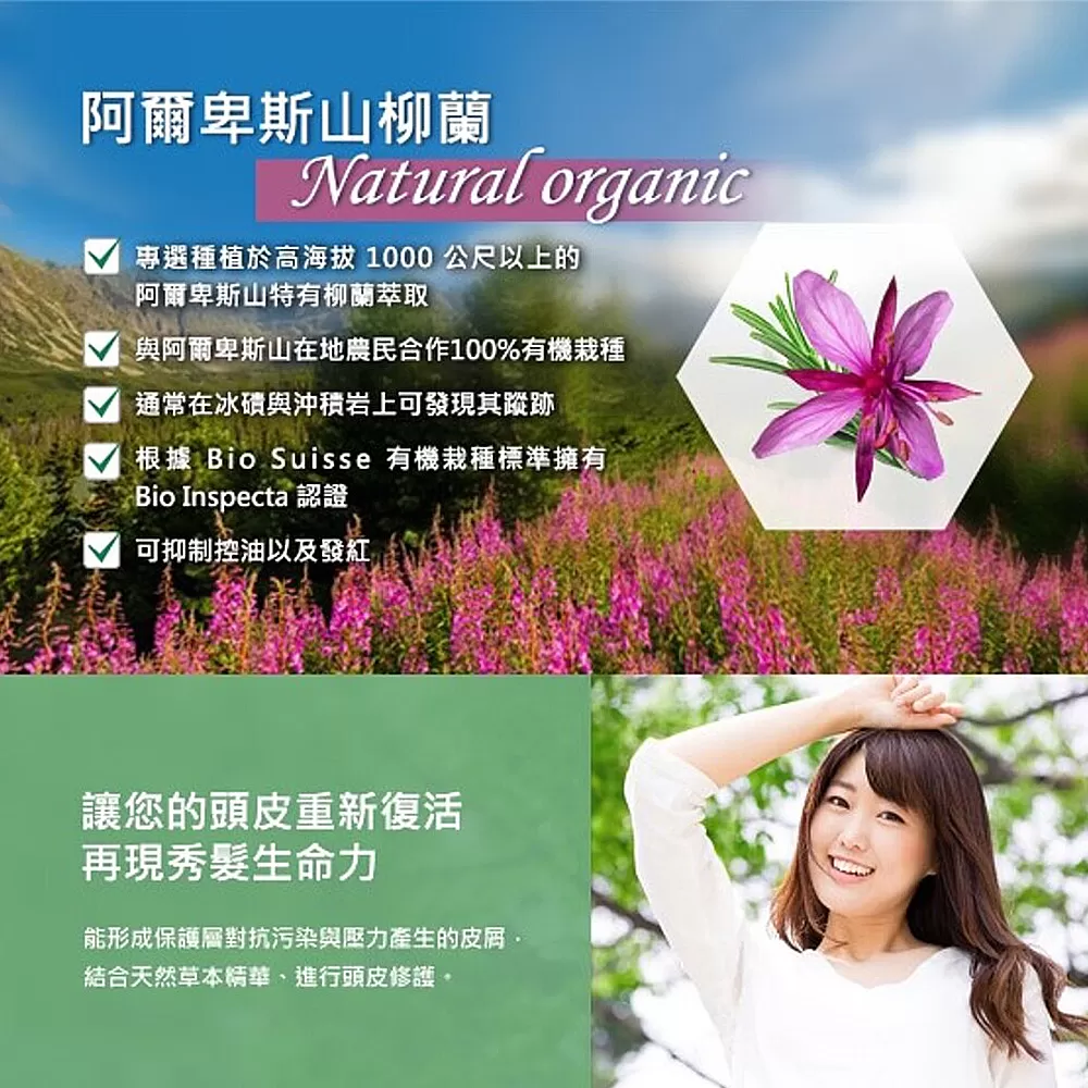 【MG瑪格諾莉雅】95%天然 植萃歐盟香氛低敏三效合一 洗髮精500ml |抗屑止癢|阿 爾卑斯柳蘭|歐盟有機認證 配方