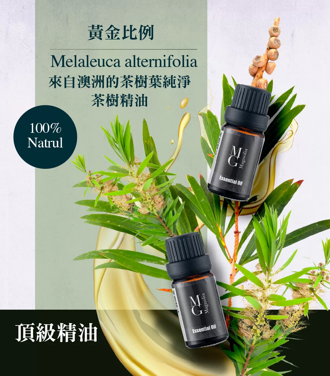 【MG】單方精油 - 茶樹精油