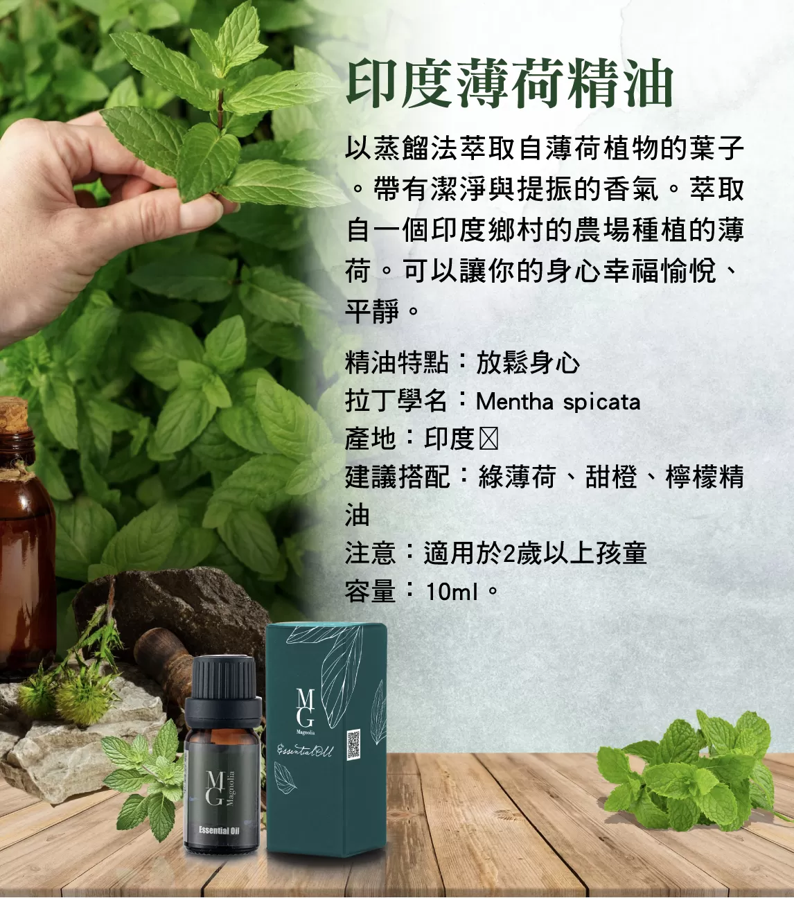 【MG】單方精油 - 薄荷精油
