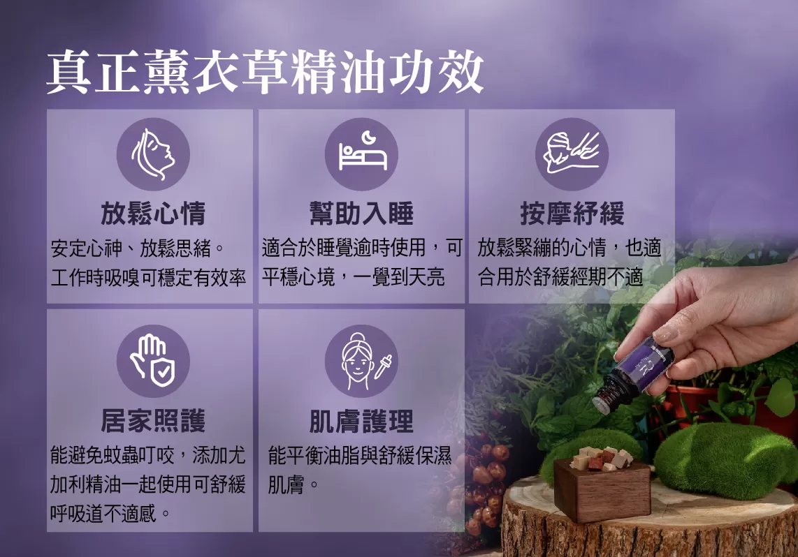 【MG】單方精油 - 真正薰衣草精油