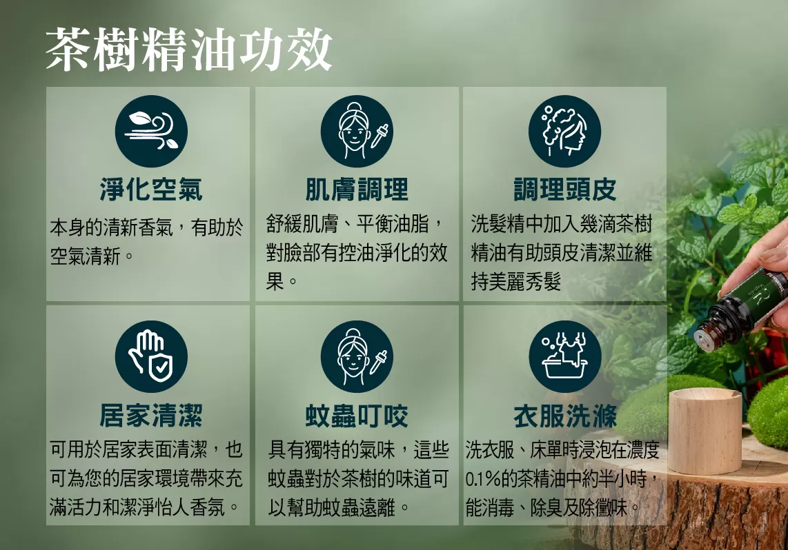 【MG】單方精油 - 茶樹精油