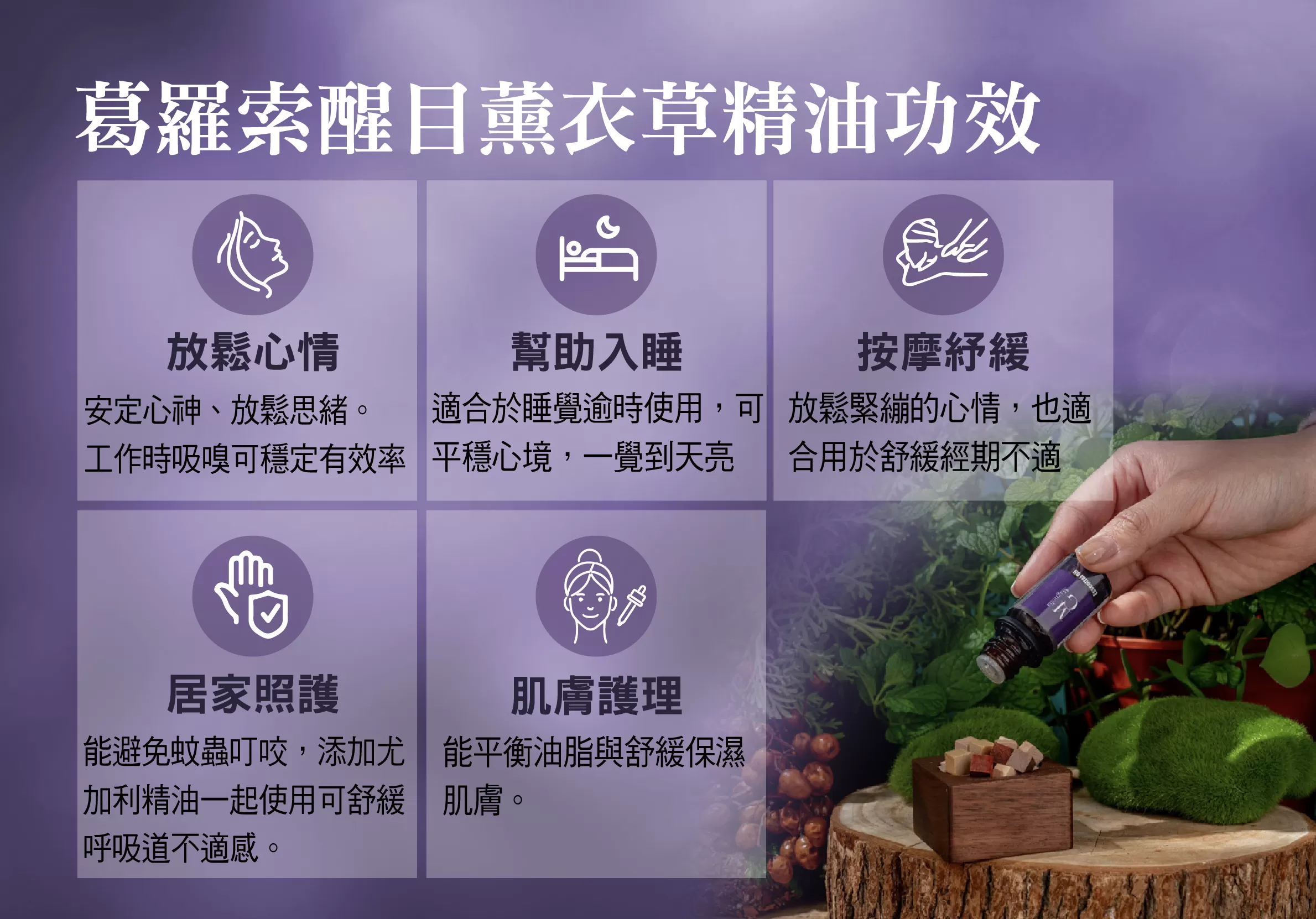 【MG】單方精油 - 葛羅索醒目薰衣草精油