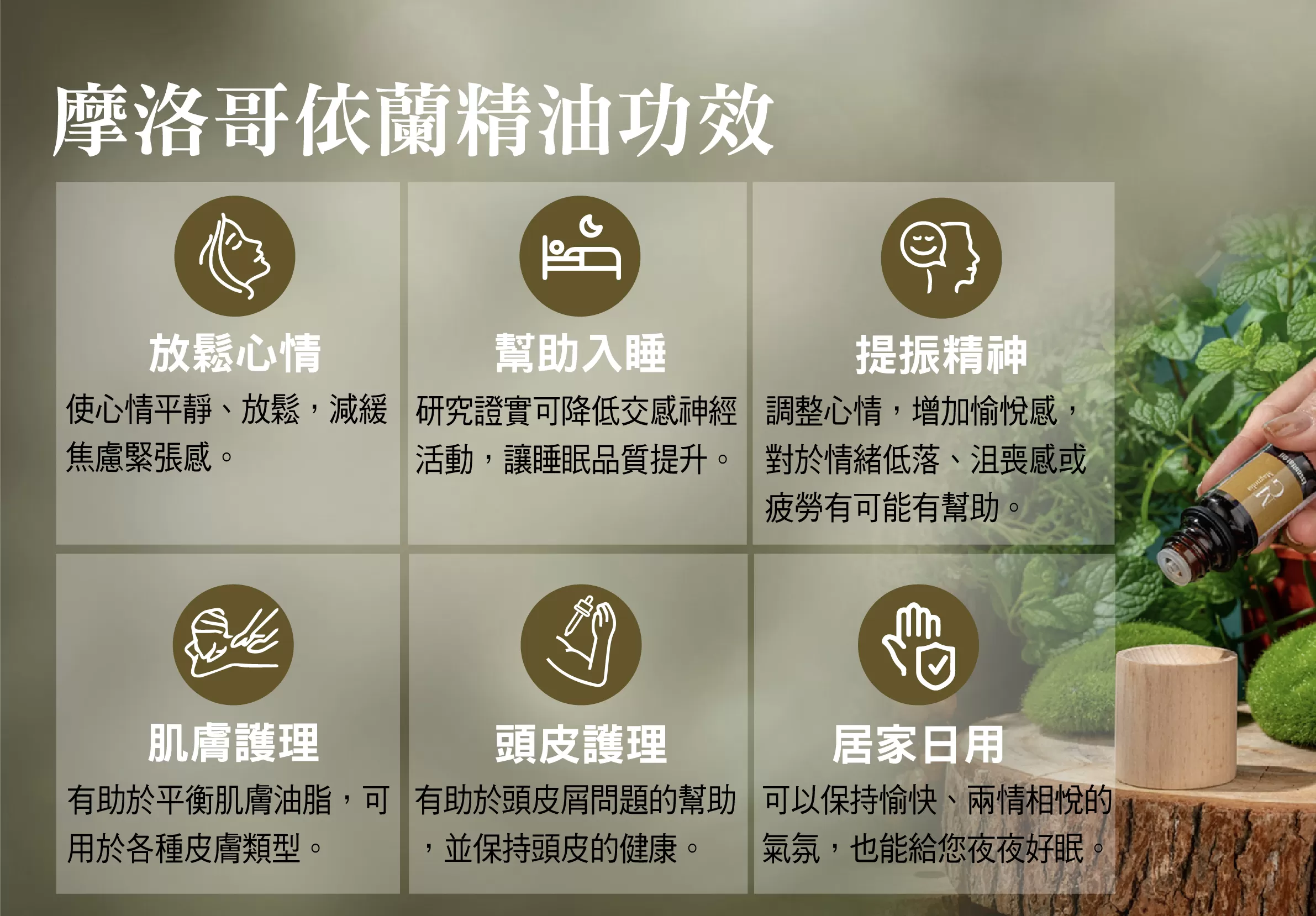 【MG】單方精油 - 摩洛哥依蘭精油