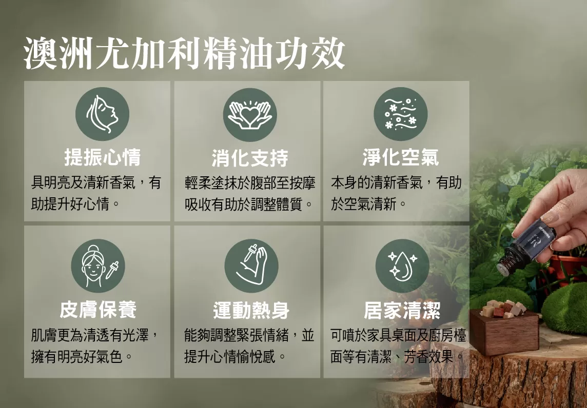【MG】單方精油 - 澳洲尤加利精油