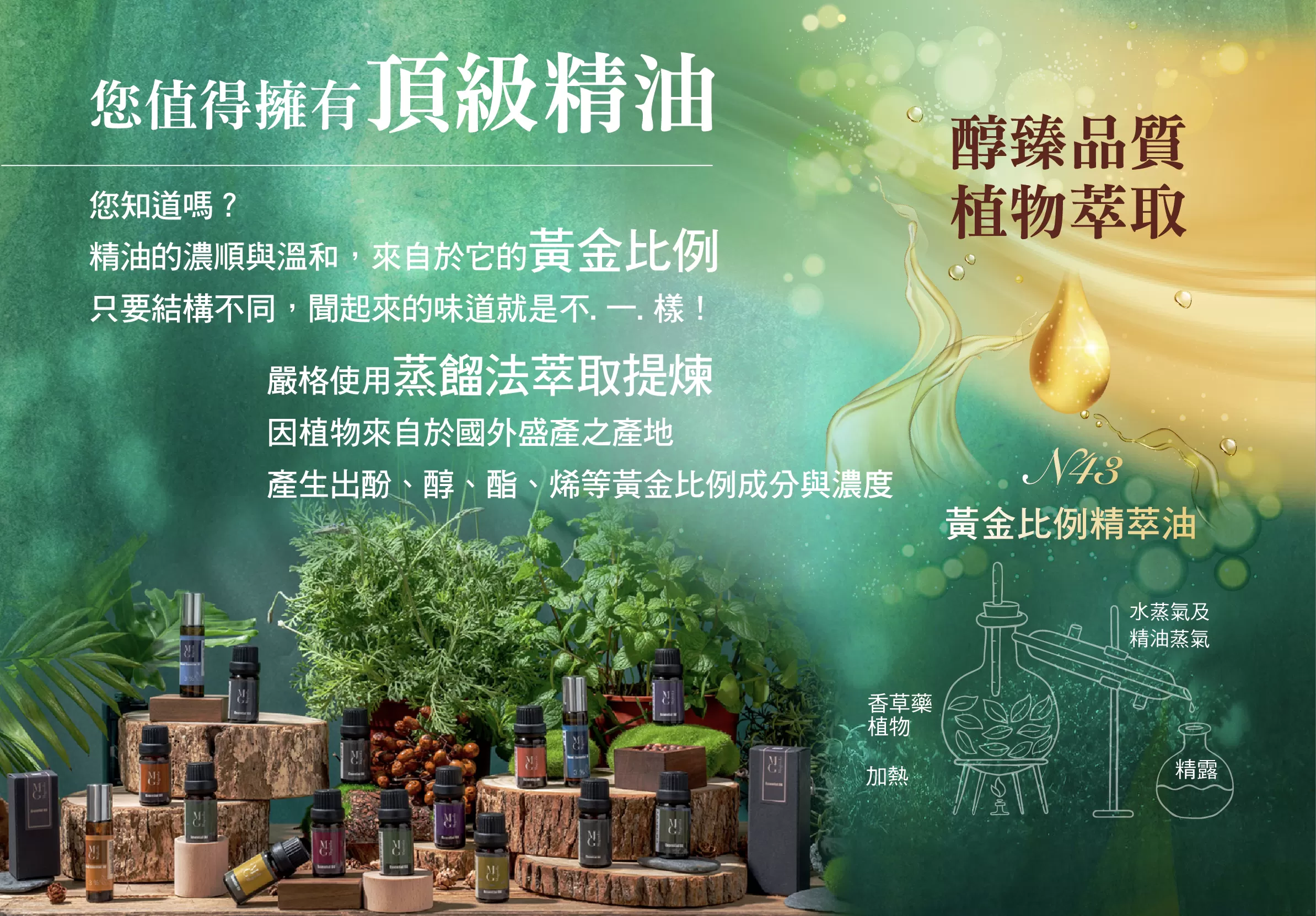 【MG】單方精油 - 巴西甜橙精油
