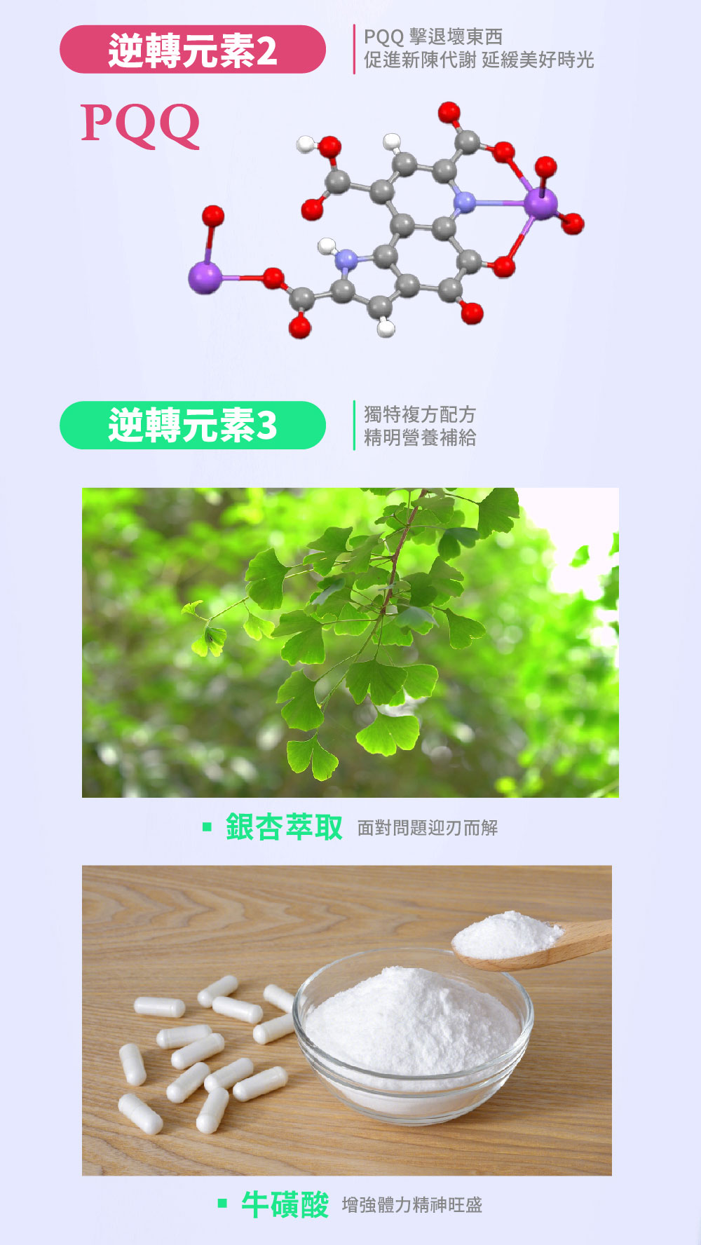 【SHINER】憶活萃 (30粒/盒),精神活力,記憶力提升,大腦保健,牛磺酸,銀杏萃取