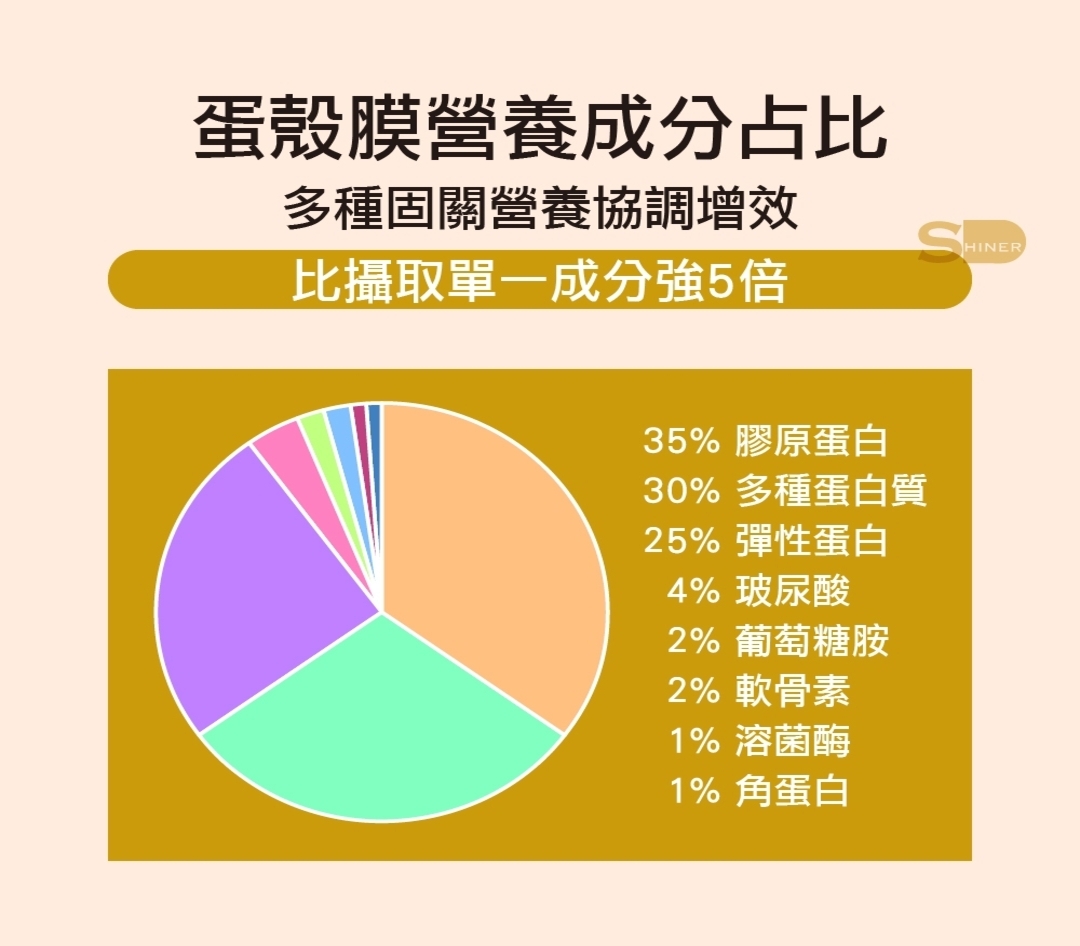 【SHINER】耐固膜®強化膠囊 (30顆/瓶),活力關節,玻尿酸,軟骨素,葡萄糖胺,舒緩關節