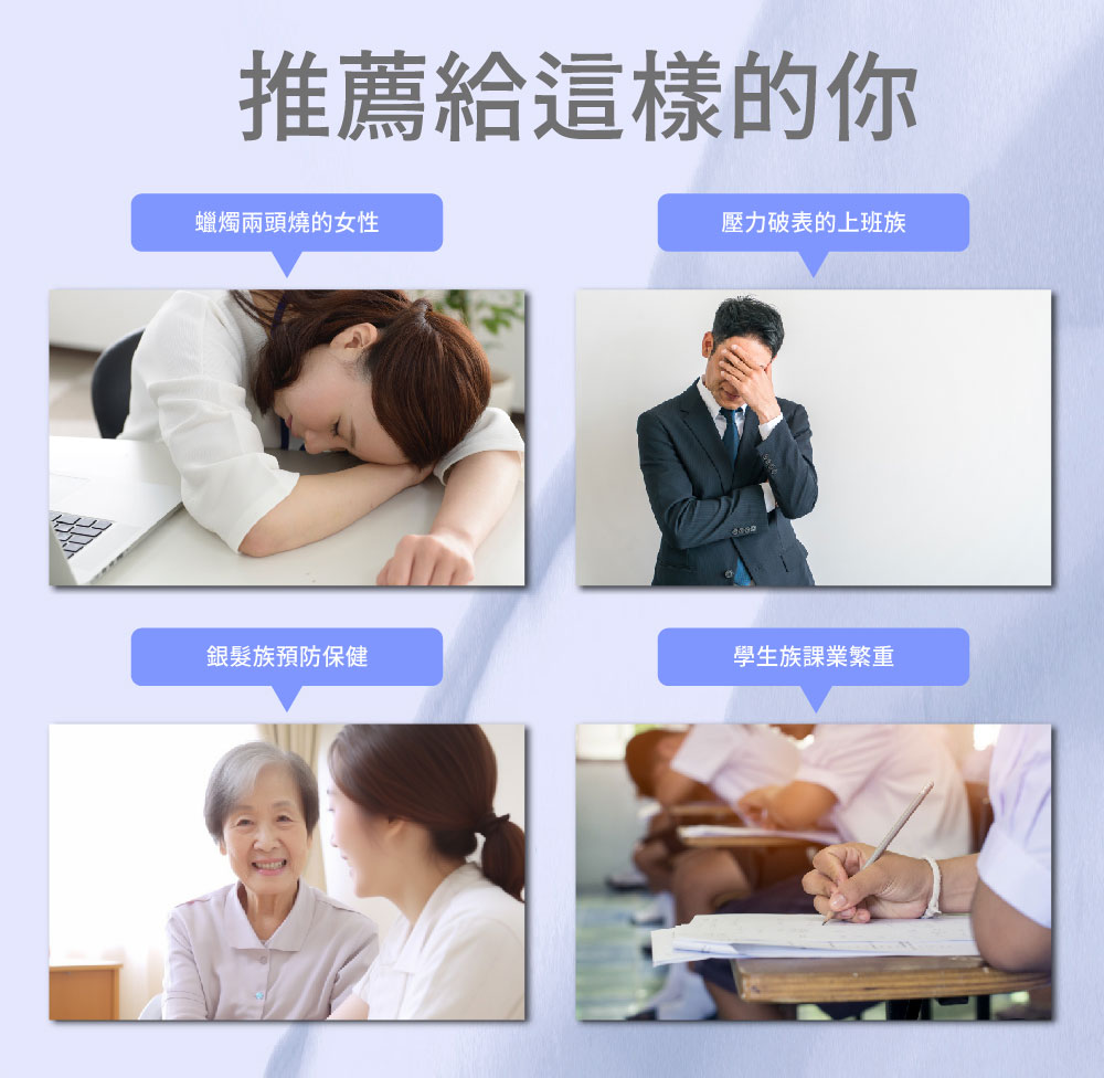 【SHINER】憶活萃 (30粒/盒),精神活力,記憶力提升,大腦保健,牛磺酸,銀杏萃取