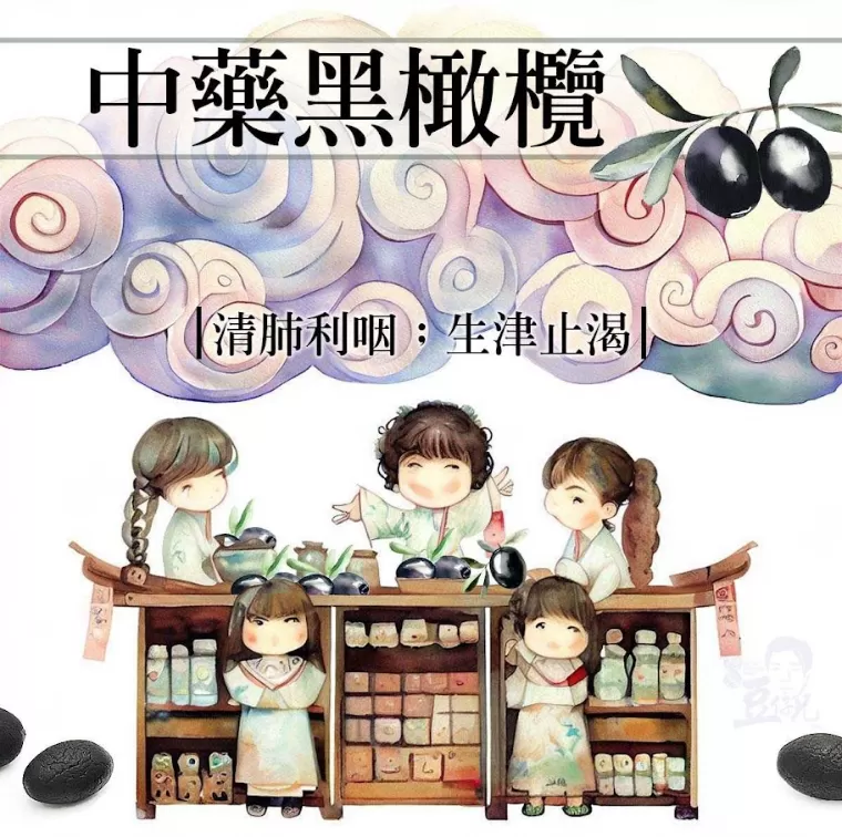 傳統好滋味--經典無核黑橄欖