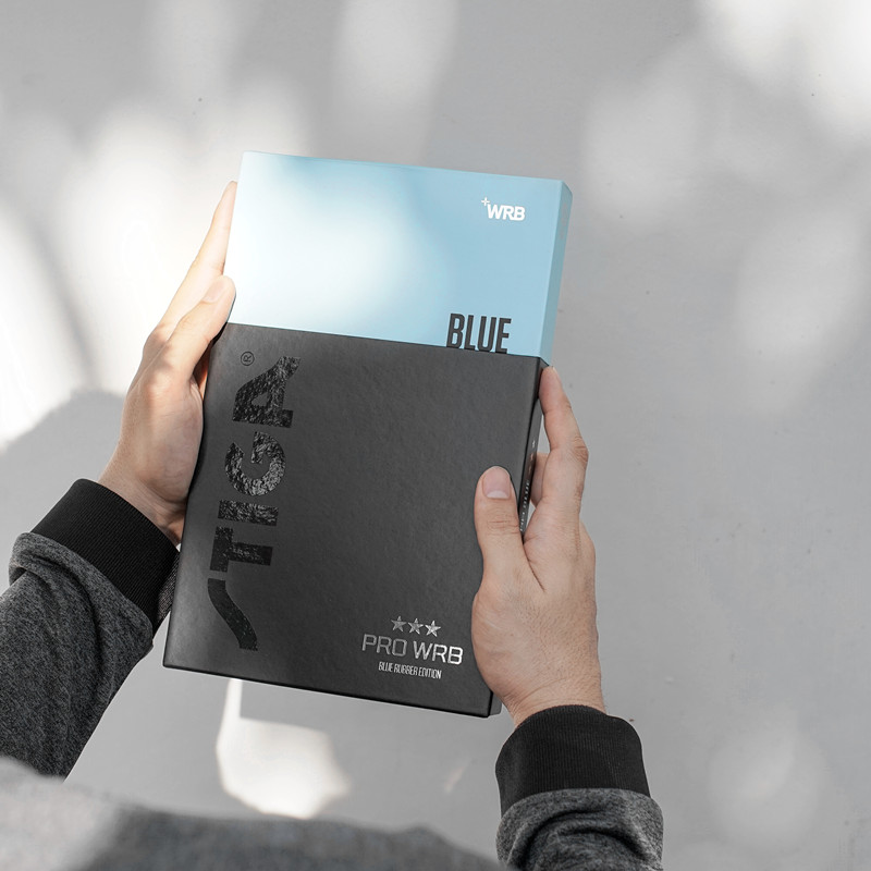 STIGA 三星休閒拍 ROYAL WRB BLUE 中空柄