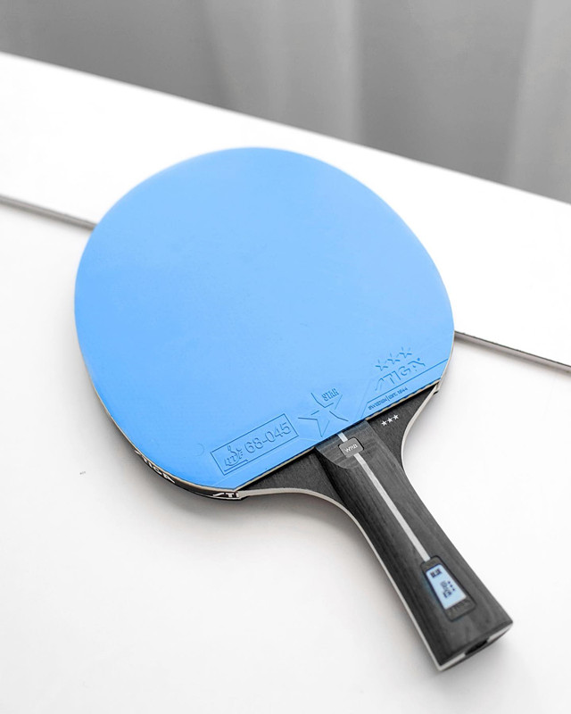 STIGA 三星休閒拍 ROYAL WRB BLUE 中空柄