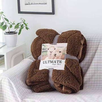 冬季保暖素色雙層加厚法蘭絨羊羔絨毯/可可棕